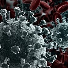 Coronavirus | Bildquelle: Shutterstock Coronavirus in Nahaufnahme